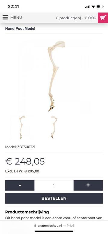 Anatomisch model honden poot (echt met nagels) beschikbaar voor biedingen