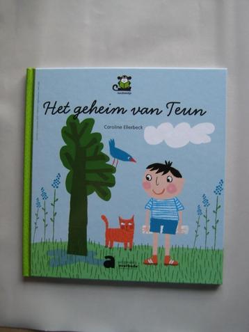 Het geheim van Teun - Averbode (2019) beschikbaar voor biedingen