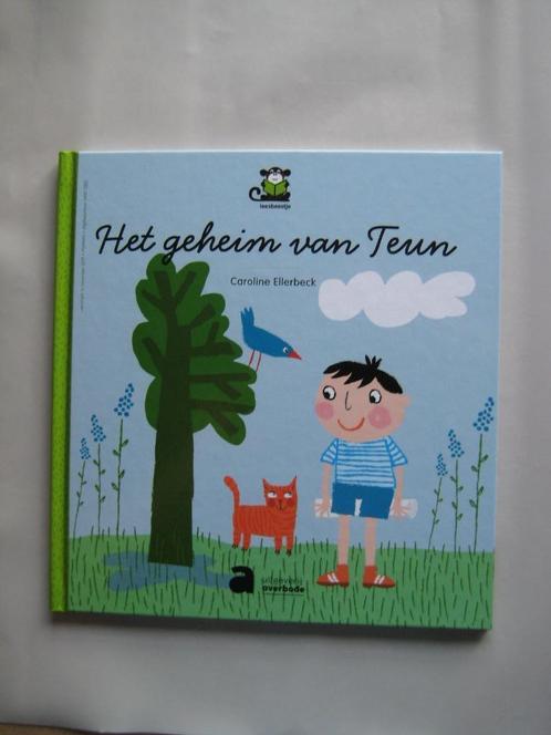Het geheim van Teun - Averbode (2019), Boeken, Kinderboeken | Kleuters, Nieuw, 4 jaar, Jongen of Meisje, Voorleesboek, Ophalen