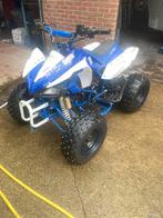 Qaud, Motoren, Quads en Trikes