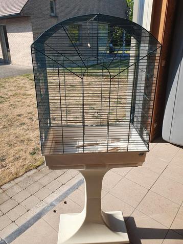 Vogelkooi voor kanarie. beschikbaar voor biedingen