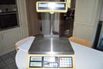 Balance GRAM précision ASEP-15P, 1 à 500 grammes, Balance de magasin, Digital, 10 à 50 kg