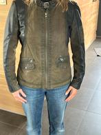 Harley davidsonvest dames, Ophalen, Dames