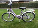 Kinderfiets Golden Lion, Ophalen, 22 inch, Gebruikt, Golden Lion