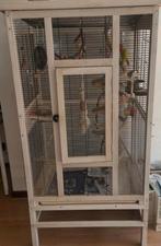 Volière, Dieren en Toebehoren, Vogels | Hokken en Kooien, Ophalen of Verzenden, Zo goed als nieuw, Hout, Volière