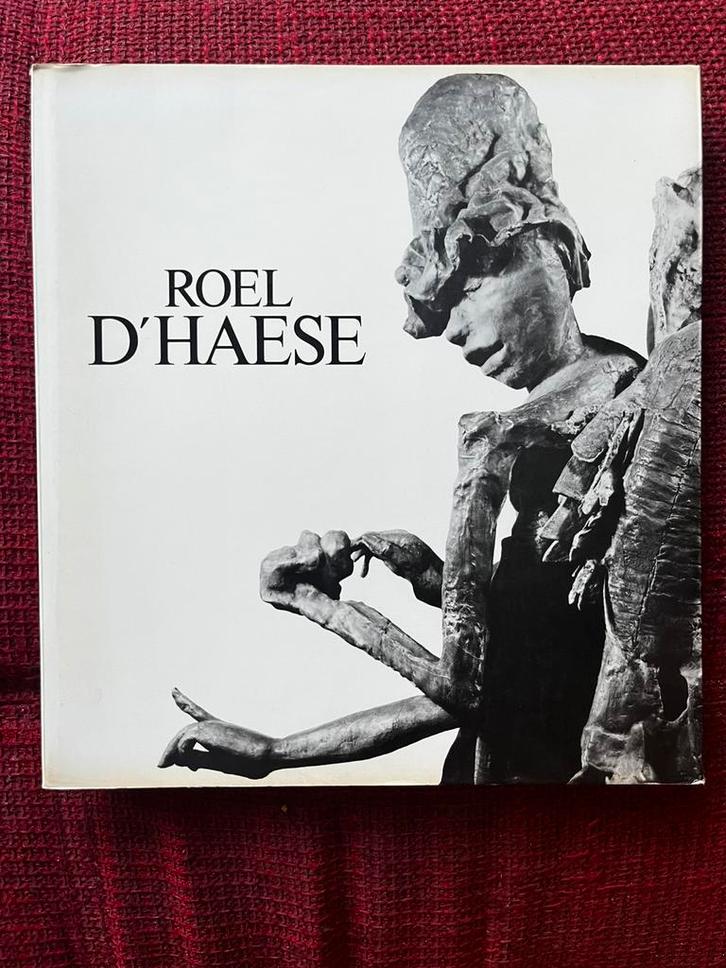 Boek kunst Roel D’Haese, Boeken, Kunst en Cultuur | Beeldend, Zo goed als nieuw, Beeldhouwkunst, Ophalen of Verzenden