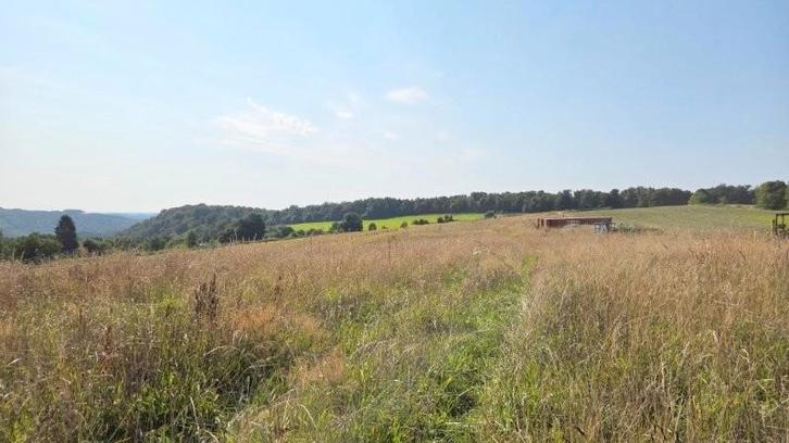 6830 Les Hayons : grand terrain, 1Ha 70a 94ca, Immo, Terrains & Terrains à bâtir, 1500 m² ou plus