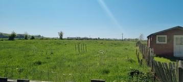 Pret de prairie pour moutons