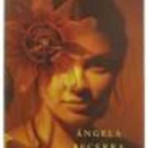 Waar het de tijd aan ontbreekt Angela Becerra, Boeken, Romans, Zo goed als nieuw, Ophalen of Verzenden