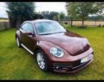 Cocinelle 2.0 tdi 81Kw, Voorwielaandrijving, Stof, Bruin, Particulier