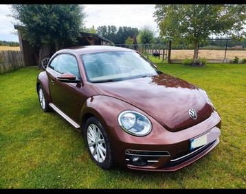Cocinelle 2.0 tdi 81Kw beschikbaar voor biedingen