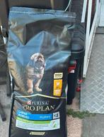 Purina One Large Puppy 2 kip, Ophalen, Hond
