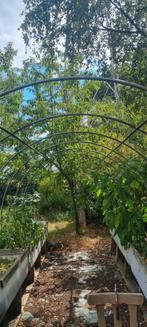 aluminium frame Serre, 6meter lang, Tuin en Terras, Ophalen