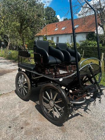 Koets enkel- en dubbelspan beschikbaar voor biedingen