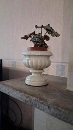 Vase artisanal en béton laqué, Enlèvement, Blanc