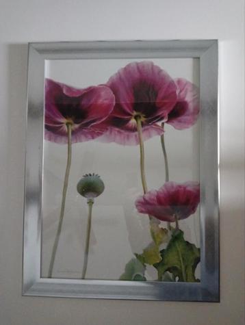 Joli cadre " Coquelicots ", Enlèvement, Comme neuf