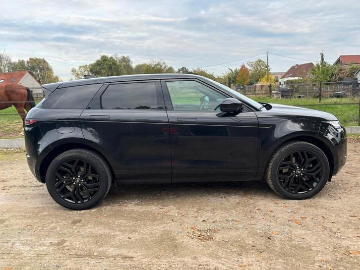 Range Rover Evoque 4x4 automaat D150 met full black pack!, Autos, Land Rover, Particulier, 4x4, Diesel, SUV ou Tout-terrain, 5 portes