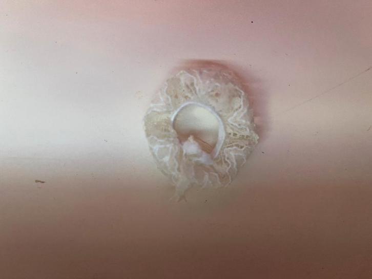 My Little Pony G1 Garter Confetti, Verzamelen, Poppetjes en Figuurtjes, Verzenden