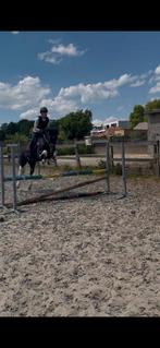Paard/pony  gezocht, Kinderen en Baby's, Speelgoed | Playmobil, Ophalen
