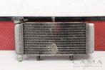 RADIATEUR EAU Honda CBR 250 RR 2008-2013 (01-2008/12-2013), Motos, Utilisé