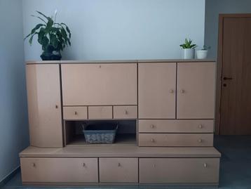 Kast voor woonkamer, bureau, Enlèvement, Utilisé, 200 cm ou plus, 100 à 150 cm