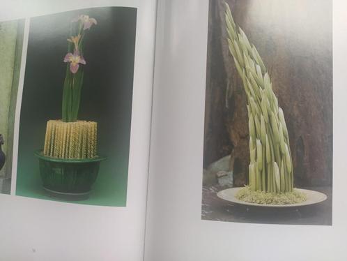 boek: bladeren in bloemen 1 + 2 / Daniël Ost, Boeken, Wonen en Tuinieren, Zo goed als nieuw, Bloemschikken, Groendecoratie, Verzenden