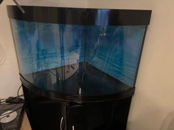 Juwel Trigon 190 aquarium, Dieren en Toebehoren, Vissen | Aquaria en Toebehoren, Ophalen of Verzenden, Gebruikt, Leeg aquarium