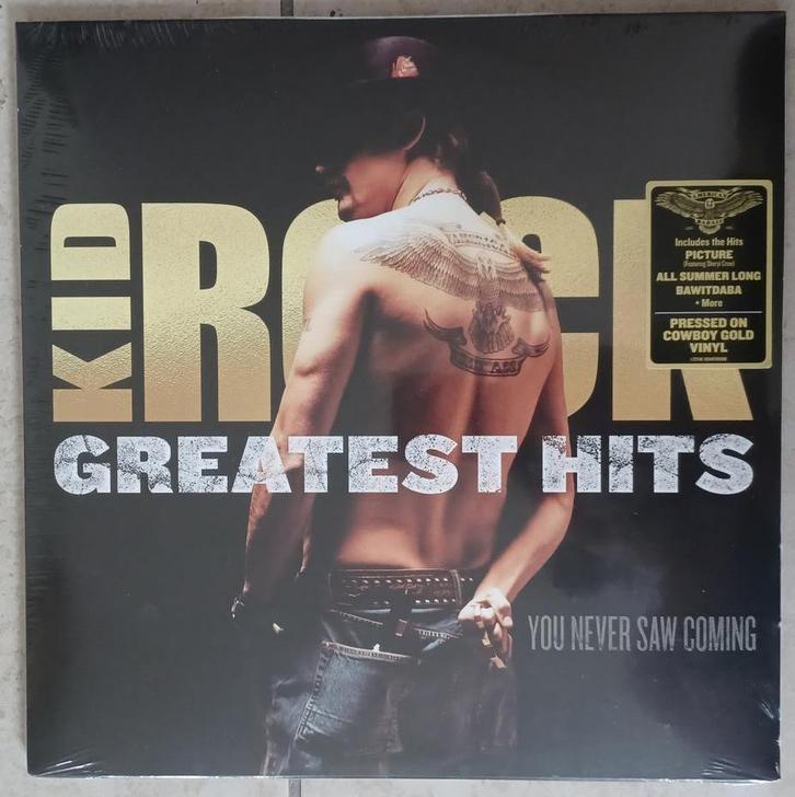 Kid Rock double 33T LP Greatest hits, CD & DVD, Vinyles | Rock, Enlèvement ou Envoi
