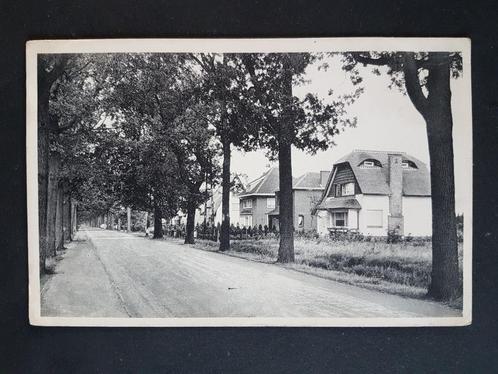 Postkaart Schilde Brasschaatsebaan, Verzamelen, Postkaarten | België, Ongelopen, Antwerpen, 1940 tot 1960, Ophalen of Verzenden