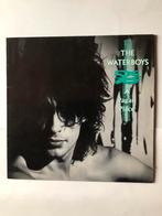 The Waterboys: A pagan place ( 1988), Verzenden