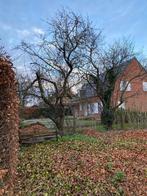 Gratis hout, Ophalen