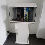 Aquariumjuwel 80L Full, Ophalen, Zo goed als nieuw