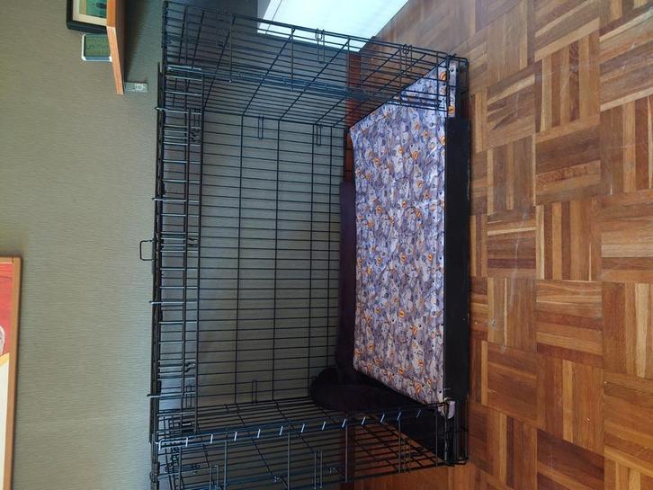 Ovation trainer 42" 107 X 74 X 77, Dieren en Toebehoren, Hondenhokken, Zo goed als nieuw, Ophalen