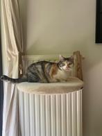 Sturdy Cream/Beige Radiator Cat Bed – Like New, Ophalen, Zo goed als nieuw