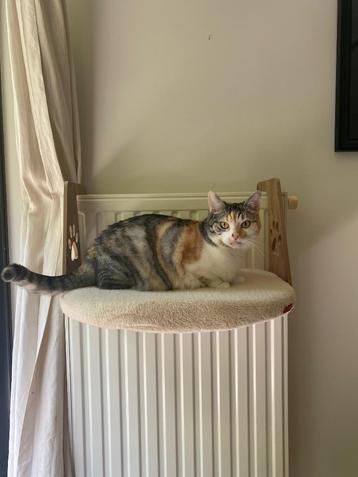 Sturdy Cream/Beige Radiator Cat Bed – Like New beschikbaar voor biedingen