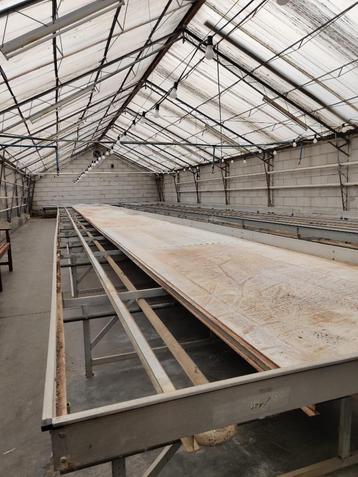 Plantentafel beschikbaar voor biedingen