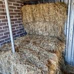 35 pakken hooi, Zakelijke goederen, Landbouw | Veevoer, Ophalen