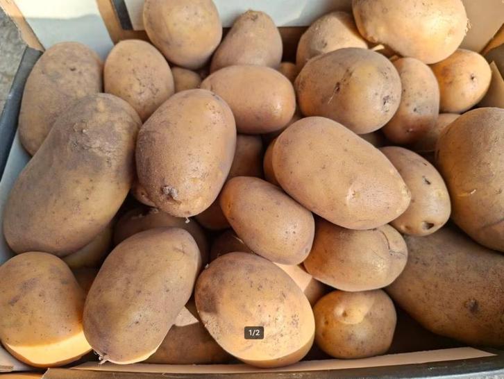 aardappelen + gratis pompoenen, Diversen, Levensmiddelen, Ophalen of Verzenden