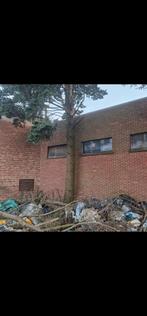 gratis hout, Ophalen
