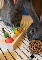 2 super lieve konijntjes (moeten weg wegens verhuis), Dieren en Toebehoren, Konijnen