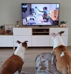 Tv-meubel in lichte eikkleur/hoogglans wit, Huis en Inrichting, Kasten |Televisiemeubels, Ophalen, Zo goed als nieuw, 200 cm of meer