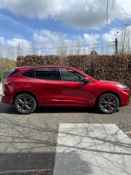 Ford Kuga ST-LINE X PHEV - Full option, Auto's, Ford, Particulier, Kuga, 4x4, ABS, Achteruitrijcamera, Adaptive Cruise Control