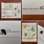 Affiche Scolaire CEDA / HATIER « Plantes » (1989), Enlèvement ou Envoi