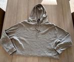 Ribbeltruitje Primark maat L (y008), Kleding | Dames, Primark, Maat 42/44 (L), Ophalen of Verzenden, Grijs