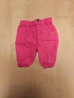 Roos broekje maat 80, Kinderen en Baby's, Babykleding | Maat 80, Zeeman, Broekje, Meisje, Ophalen of Verzenden