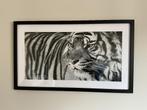 Kader tijger, Ophalen, 50 tot 75 cm, Zo goed als nieuw, 100 tot 125 cm