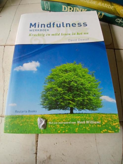 Mindfulness. Krachtig en mild leven in het nu. D. DEWULF, Boeken, Psychologie, Verzenden