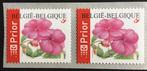 2004 ROLZEGELS (R109-V) MNH. Zwart punt., Orginele gom, Ophalen of Verzenden, Postfris, Postfris