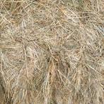 Hooi grote pakken 520kg, Enlèvement, Bétail