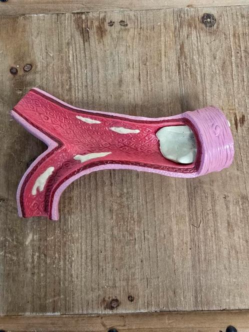 Anatomisch model aorta, Verzamelen, Overige Verzamelen, Zo goed als nieuw, Ophalen of Verzenden